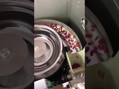 Çikolata Fasulyesi Fındık Atıştırmalıkları için Dikey Tipi Granül Ambalaj Makinesi Çok Fonksiyonlu