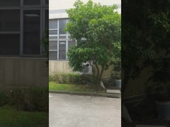 Paketleme makinesi Fabrikası 1