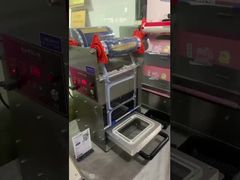 elektrikli kapatıcı DF280YT