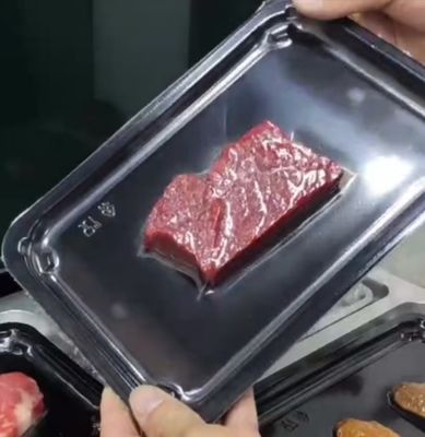 Plastic Tray Vacuum Skin Sealing Machine Hand Press Skin Sealing Machine DQ240VST  Fast Food Box/Tray Sealing Machine