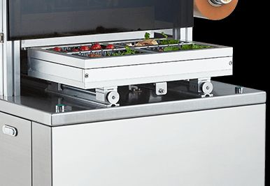 Fully Automatic Vertical Modified Atmosphere Sealer DQ480L-E with Food Grade 304 Stainless Steel and 6061 Anodized Aluminum Mold for Automatic Packaging